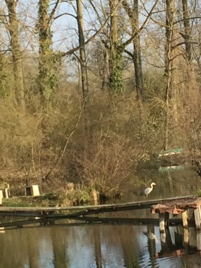 gallery/img_0220 (fileminimizer)