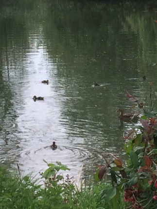 gallery/img_0246 (fileminimizer)